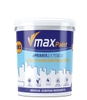 Sơn lót kháng kiềm ngoại thất - VMAX VK5